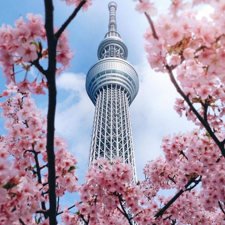 在夏季盡情享受東京！